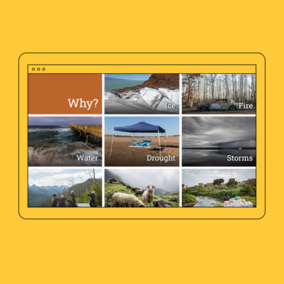The Witness Tree website homepage grid